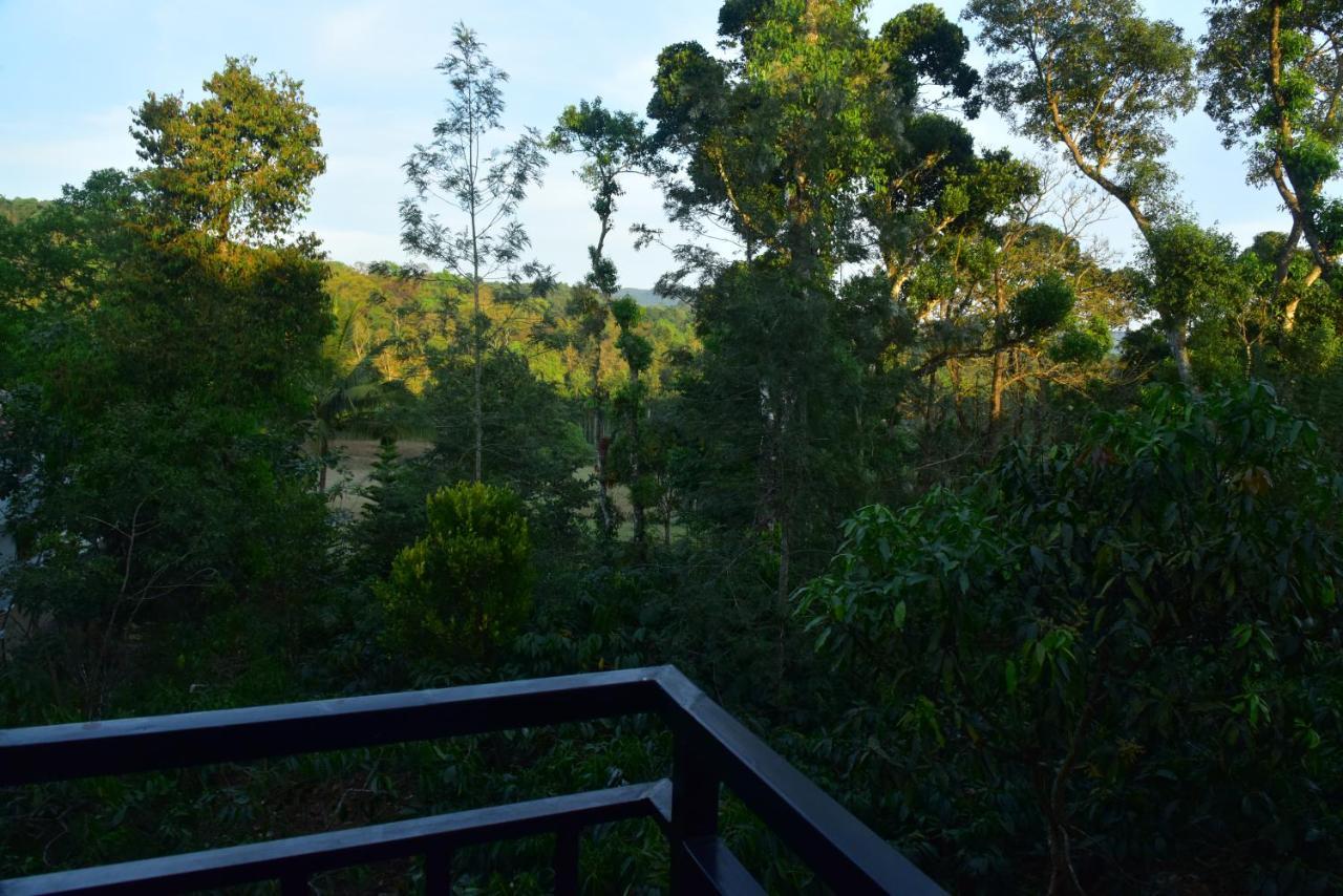 Villa Grand Misty Heaven Madikeri Esterno foto